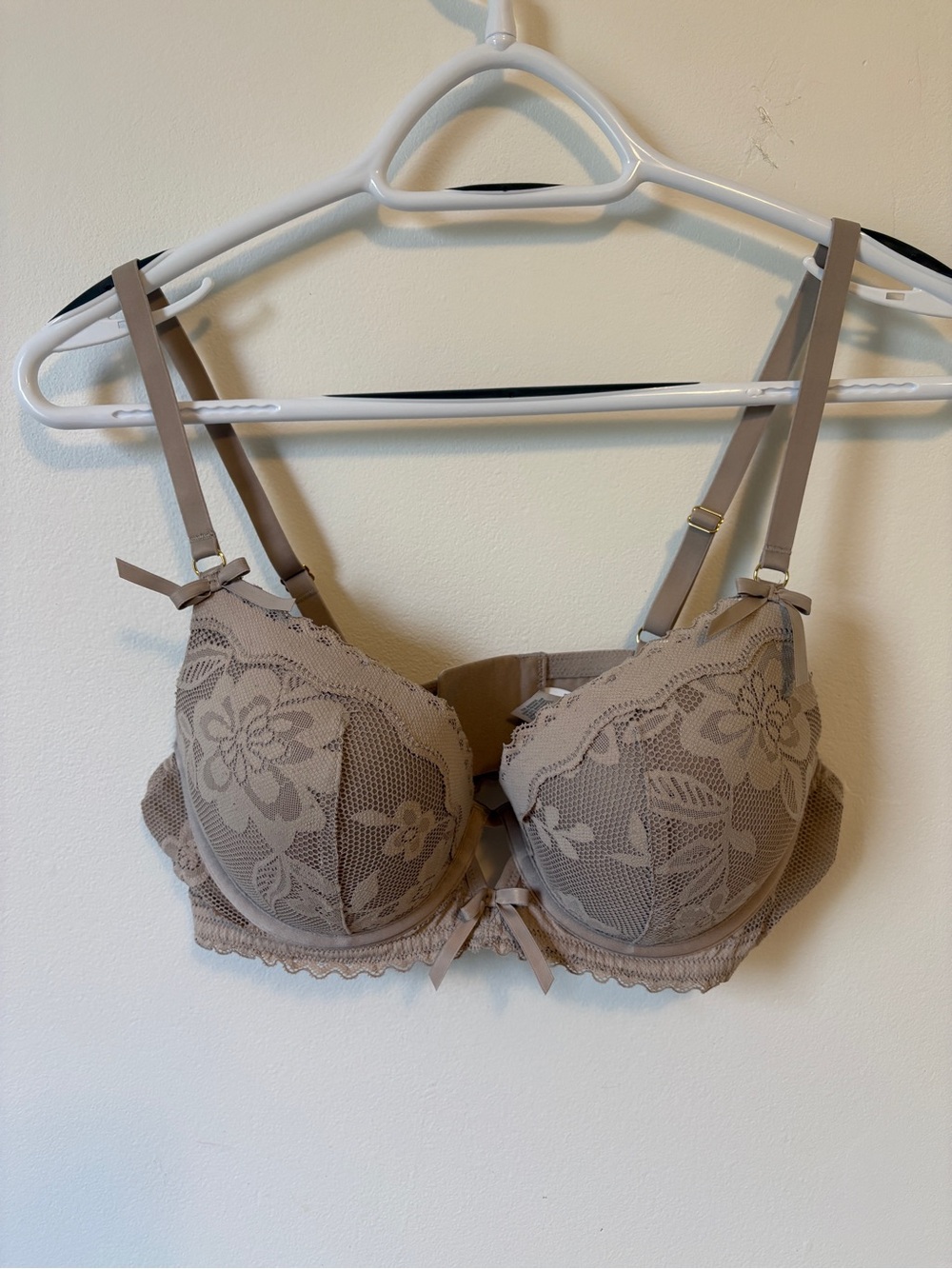 Show Off Feeling Femme Lace Plunge Push Up Bra